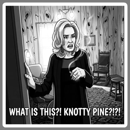 Black and white cartoon-style illustration of a coven witch standing in a room with wood-paneled walls, holding her hands up defensively, with the text 'WHAT IS THIS?! KNOTTY PINE?!?!!' at the bottom. For sale in The Pink Rocket New Orleans gay gift shop.
