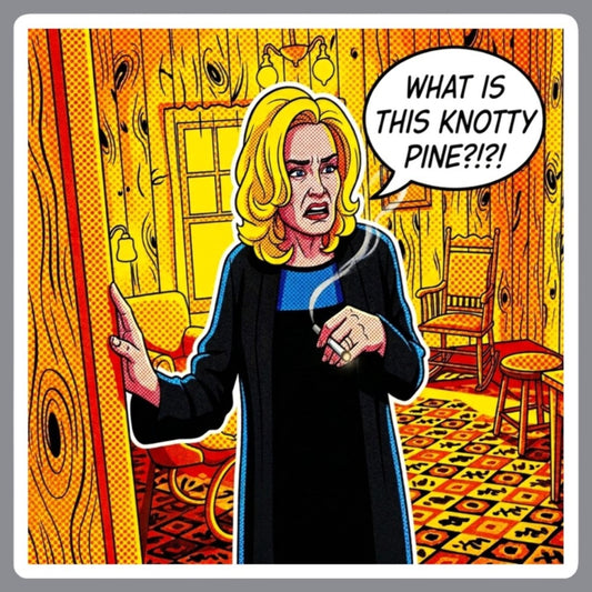 Pop art cartoon-style illustration of a coven witch standing in a room with wood-paneled walls, holding her hands up defensively, with the text 'WHAT IS THIS?! KNOTTY PINE?!?!!' at the bottom. For sale in The Pink Rocket New Orleans gay gift shop.